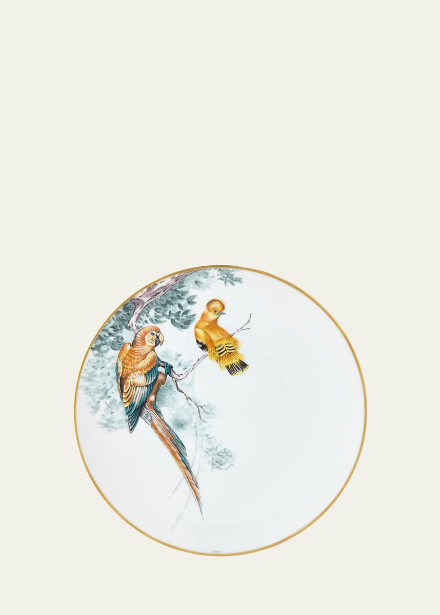 Hermes Carnets d' Equateur Birds Dinner Plate