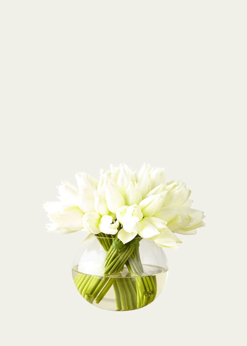 John-Richard Collection Angelique Tulips
