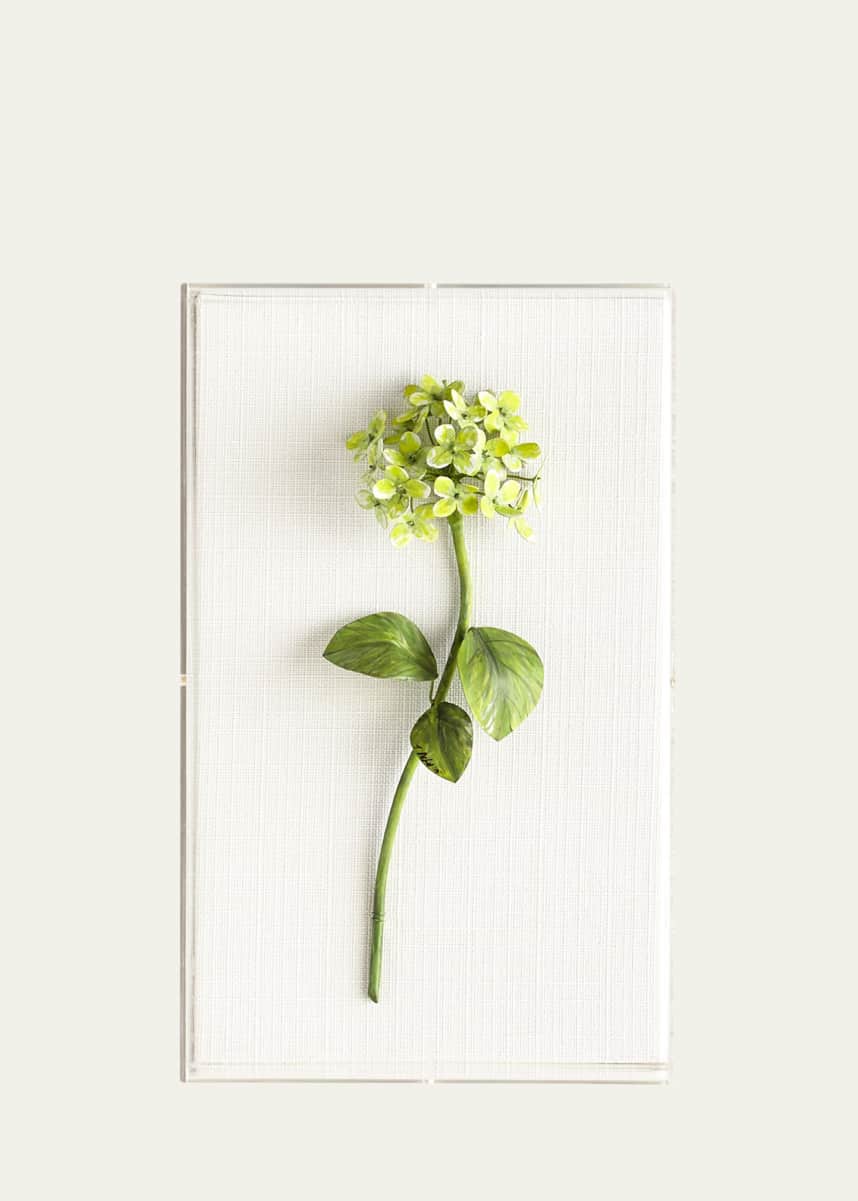 Tommy Mitchell Original Painted Hydrangea Study