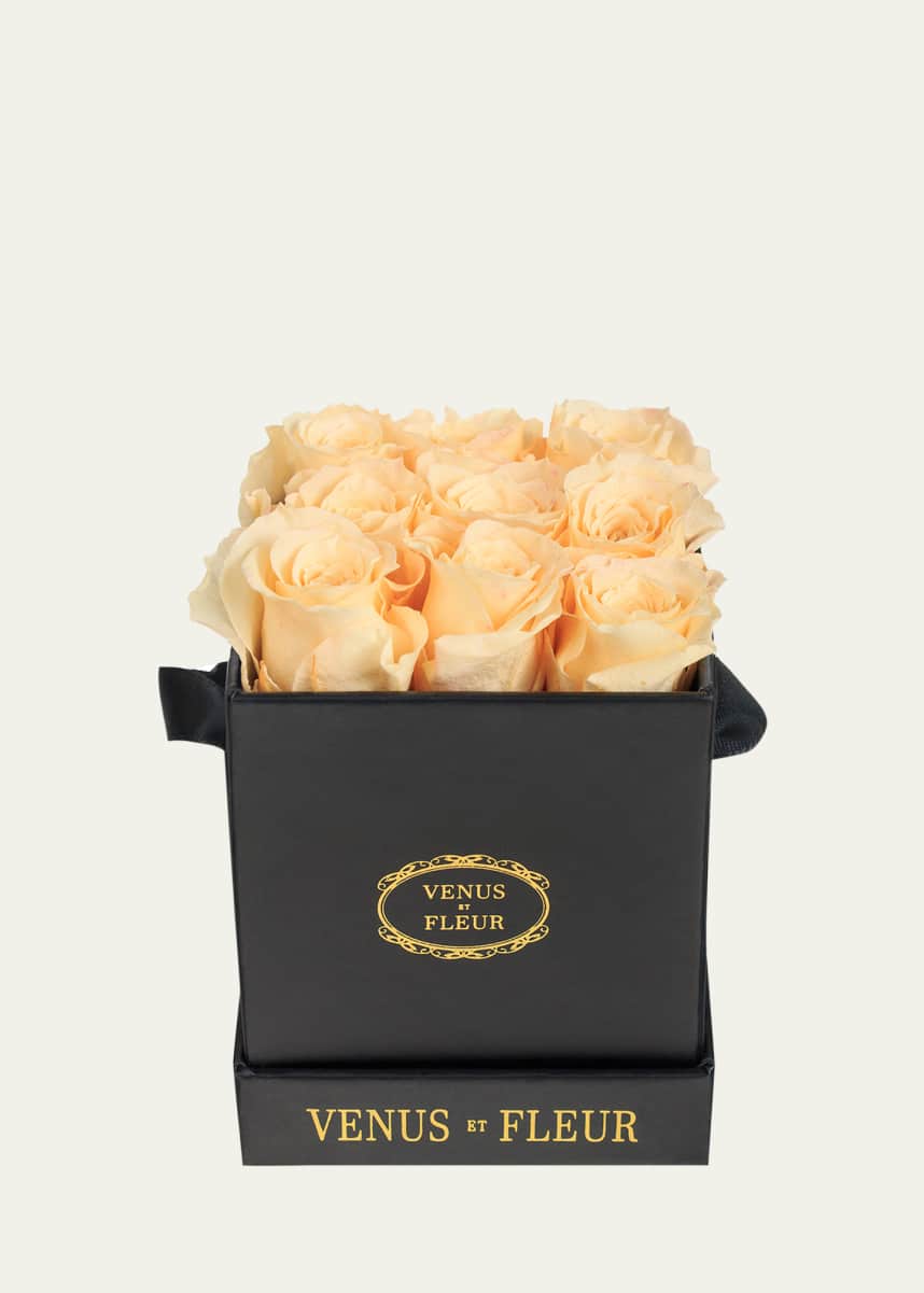 Venus ET Fleur Classic Small Square Rose Box