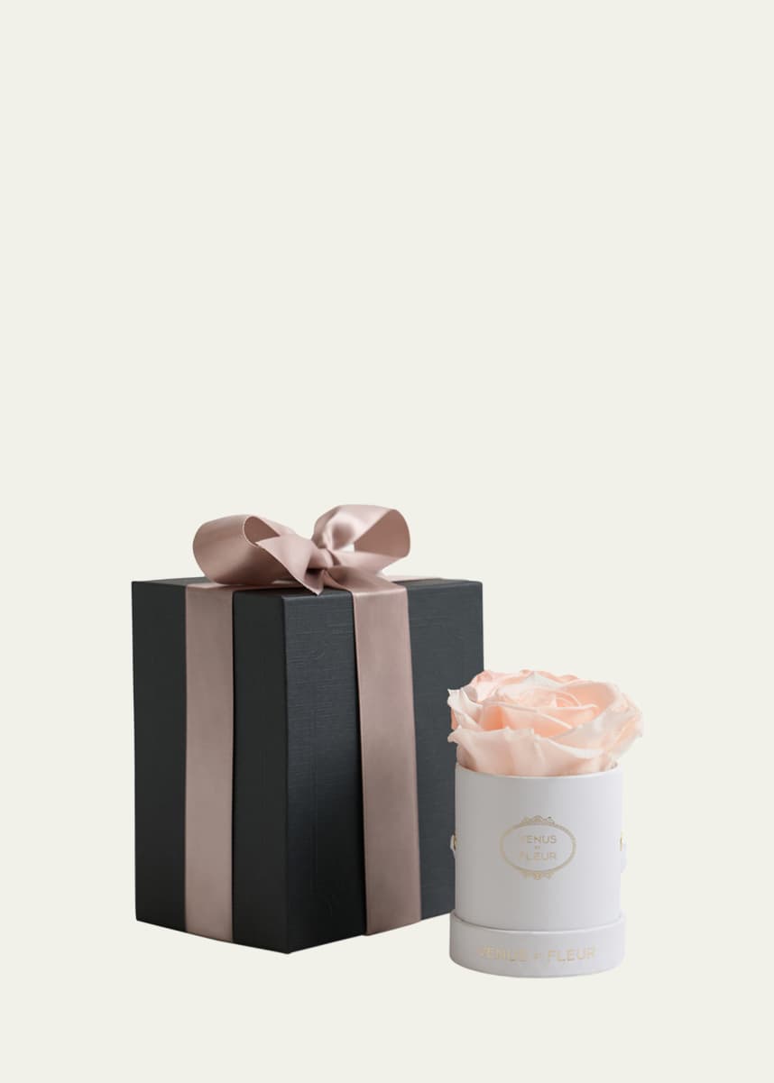 Venus ET Fleur Classic Mini Round Rose Box