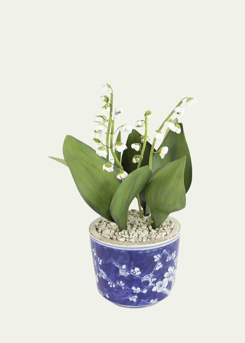 Tommy Mitchell Lily of the Valley May Birth Flower in Ceramic Pot