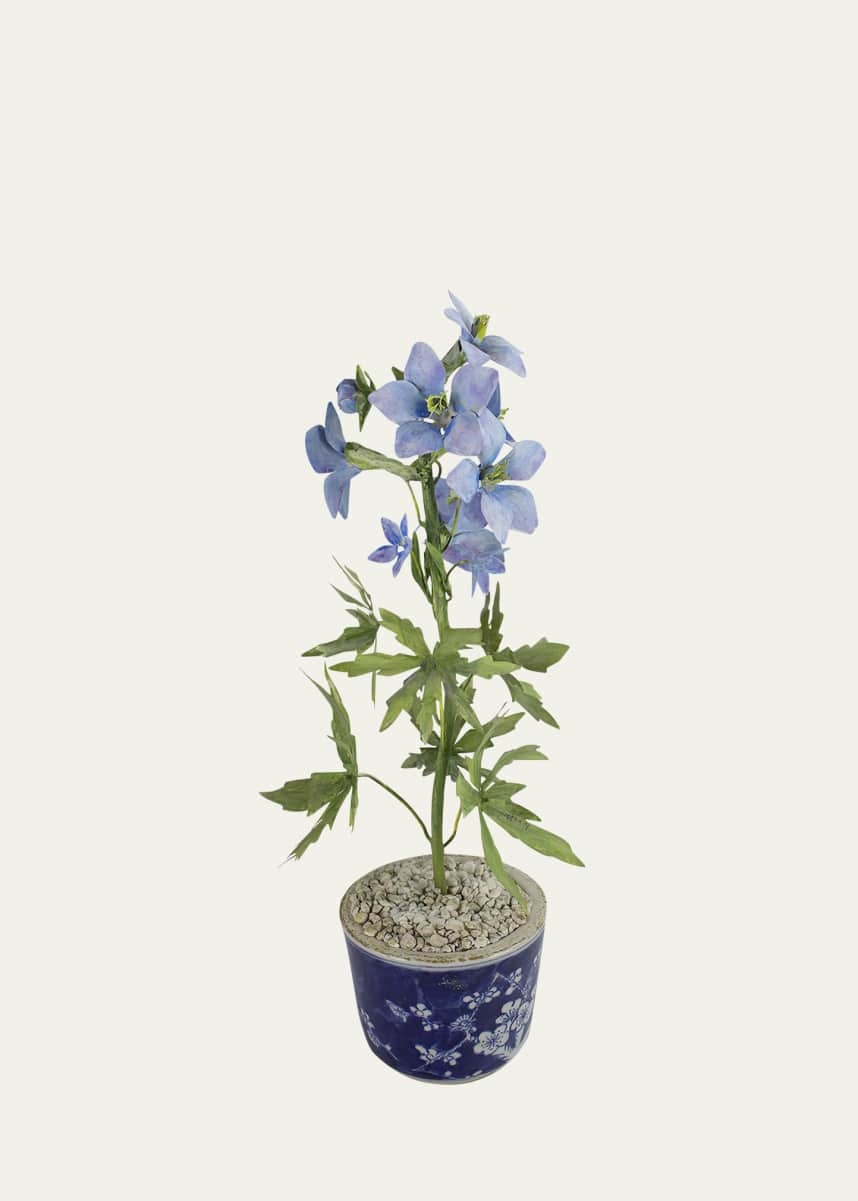 Tommy Mitchell Delphinium July Birth Flower in Ceramic Pot