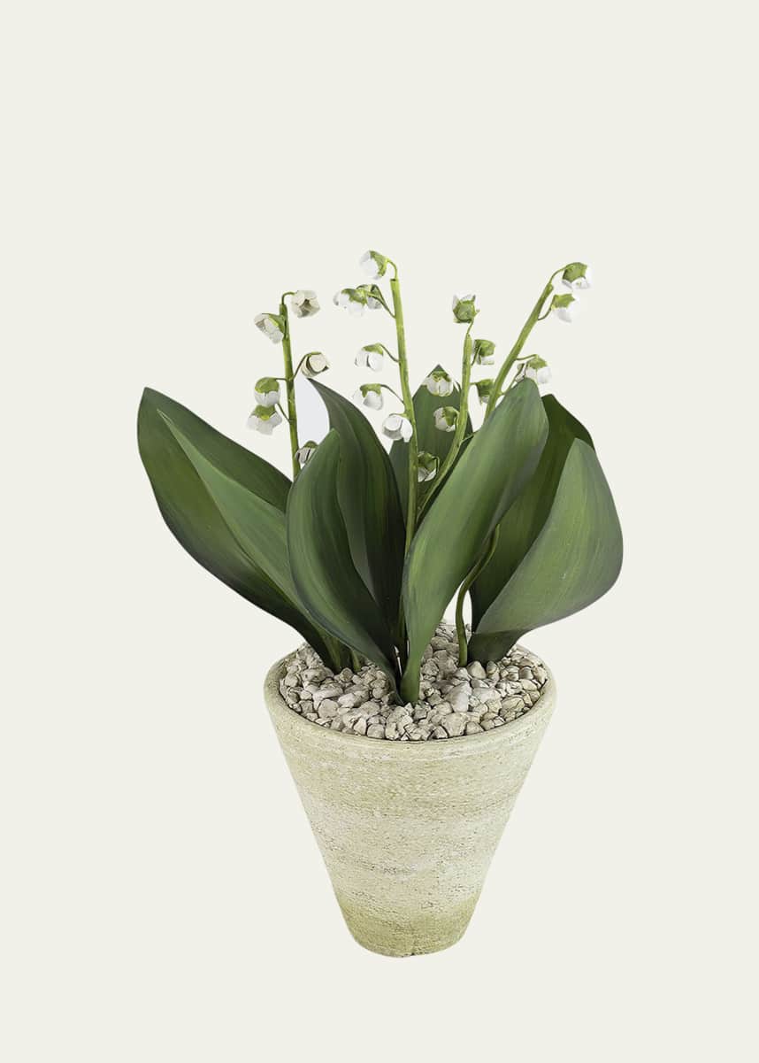 Tommy Mitchell Lily of the Valley May Birth Flower in White Terracotta Pot