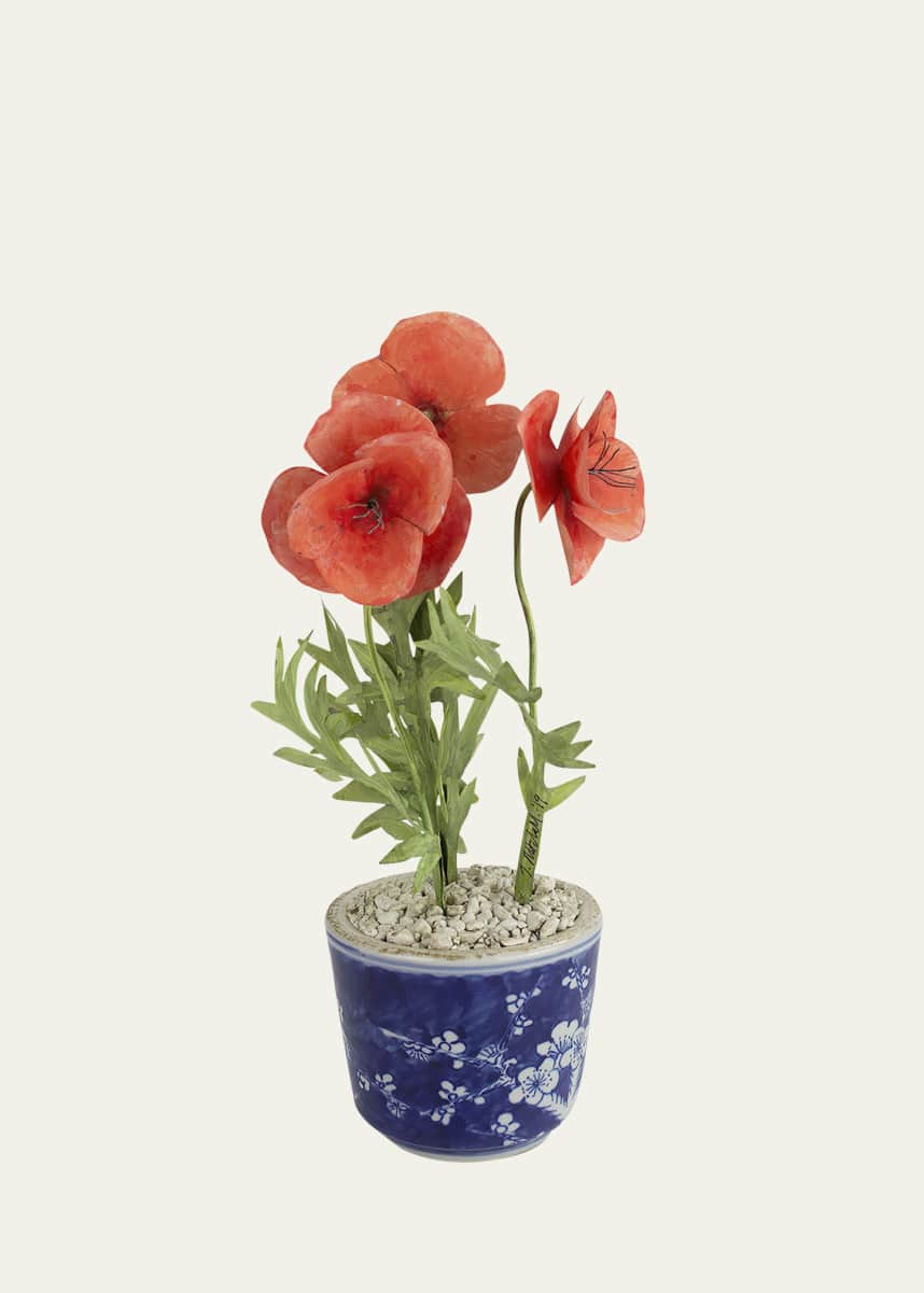 Tommy Mitchell Poppy August Birth Flower in Ceramic Pot