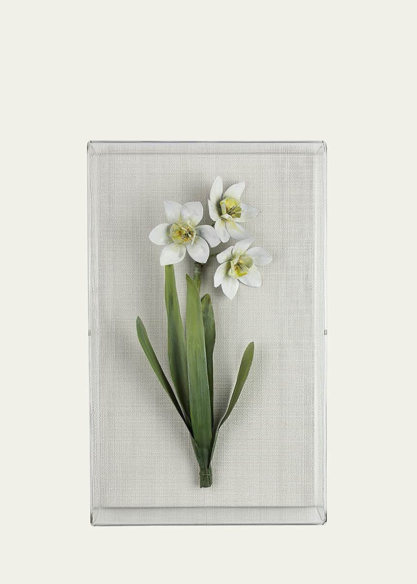 Tommy Mitchell Narcissus December Birth Flower Wall Art