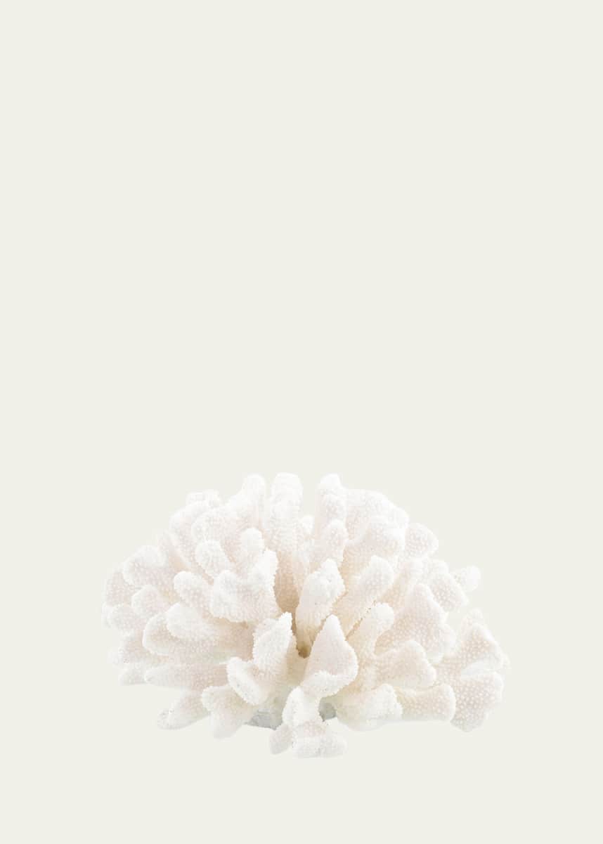John-Richard Collection Maldives Coral