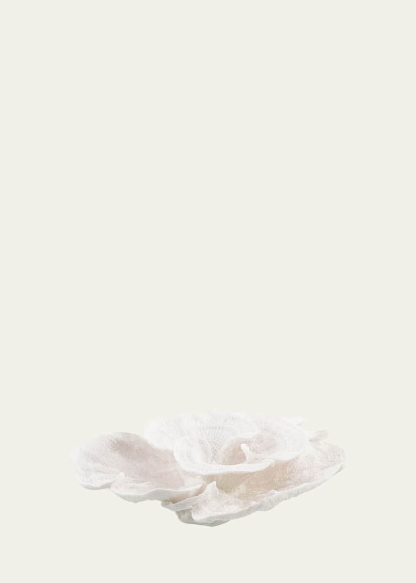 John-Richard Collection Foliose Coral