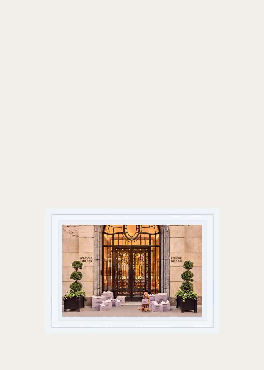 Gray Malin Shopping Spree, Bergdorf Goodman Mini Print