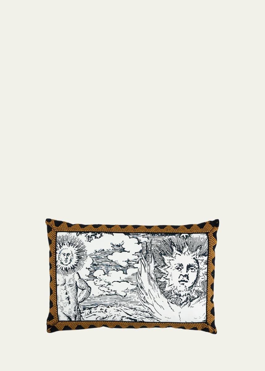 Schumacher Tim Tim & Modern Toile Pillow