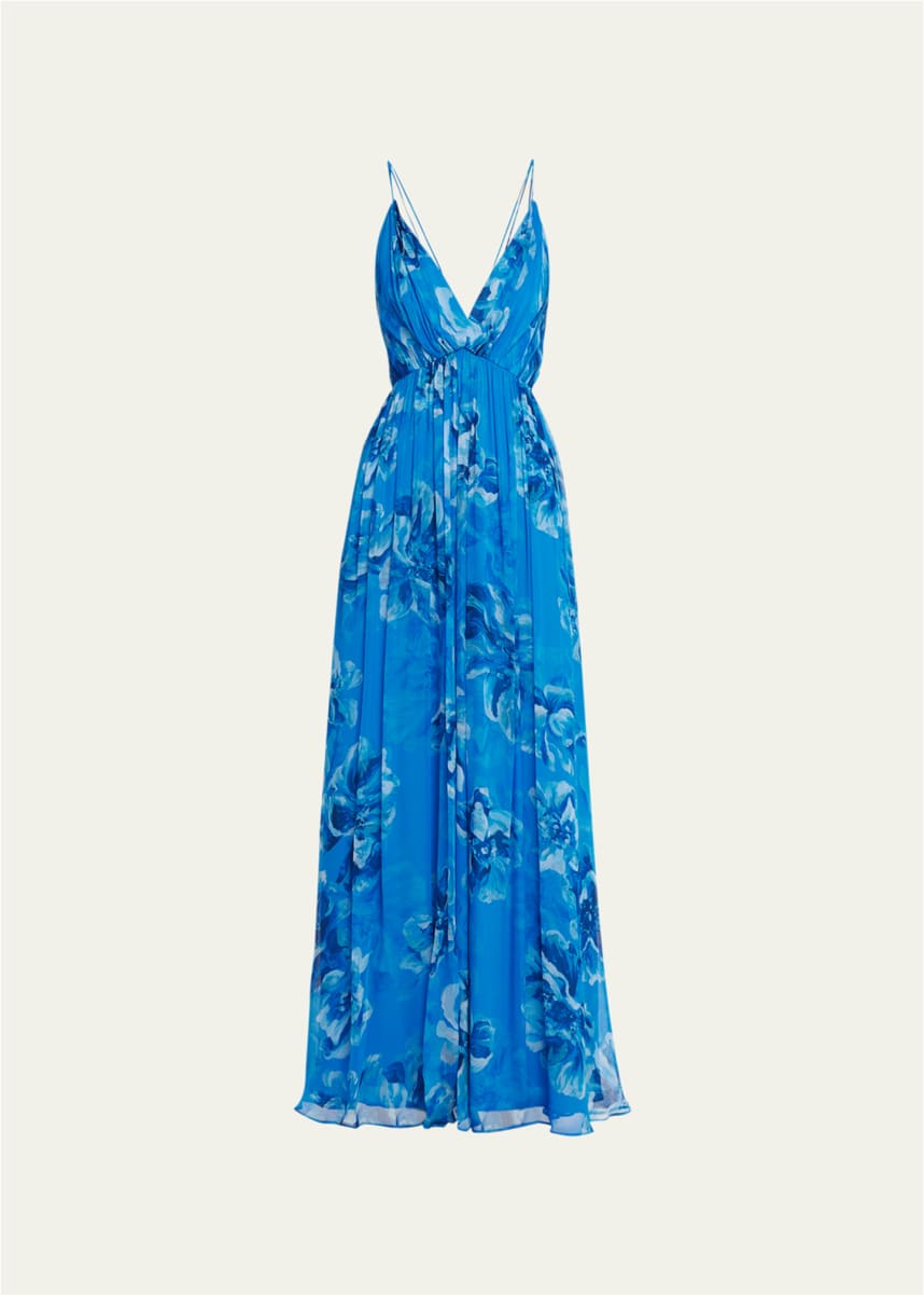 Halston Mindy Pleated Floral-Print Chiffon Gown