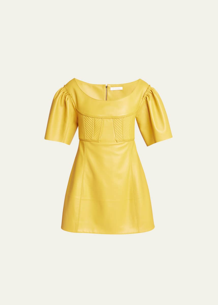 Chloe Leather Mini Dress