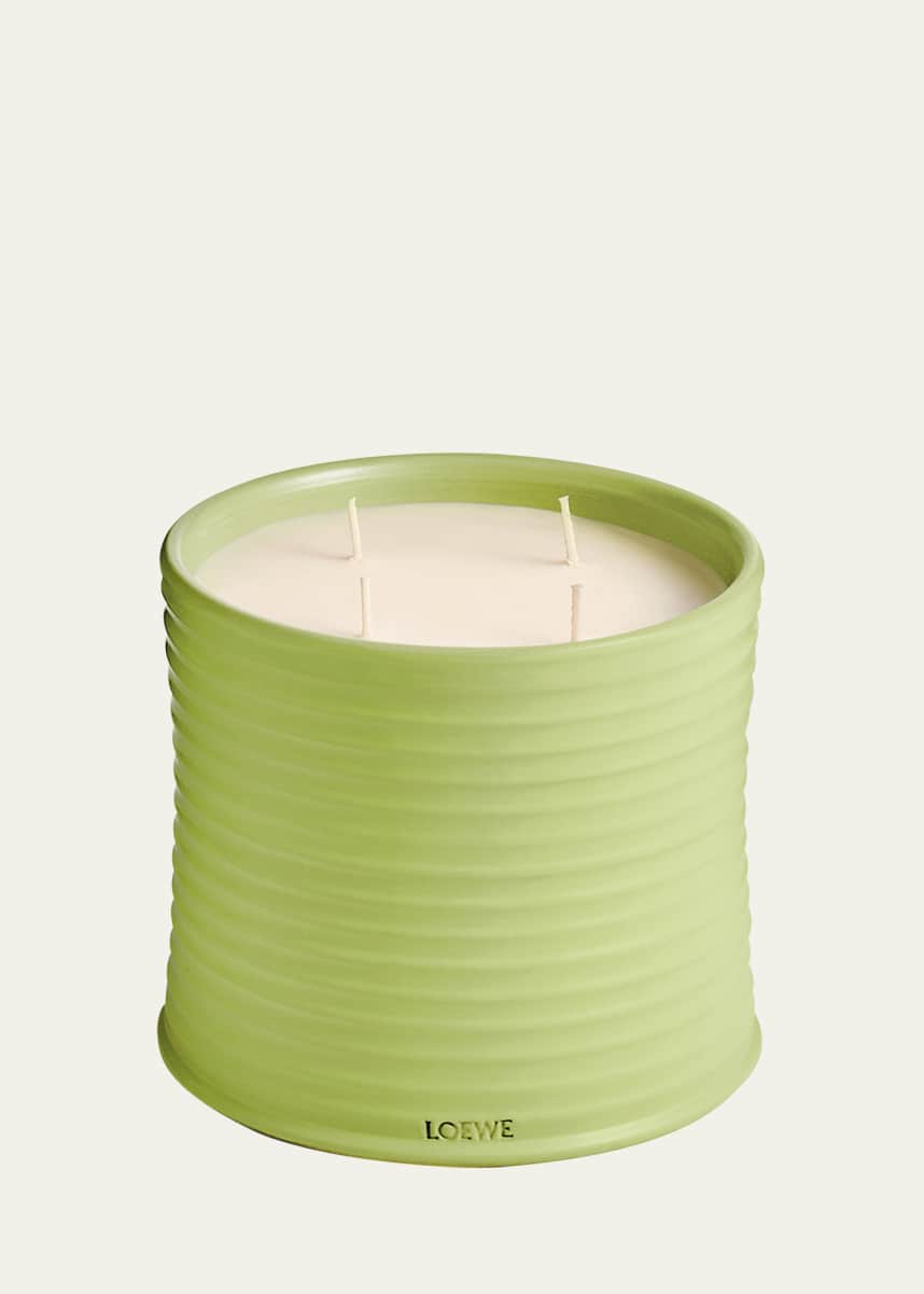 Loewe Large Cucumber Candle, 72.1 oz.
