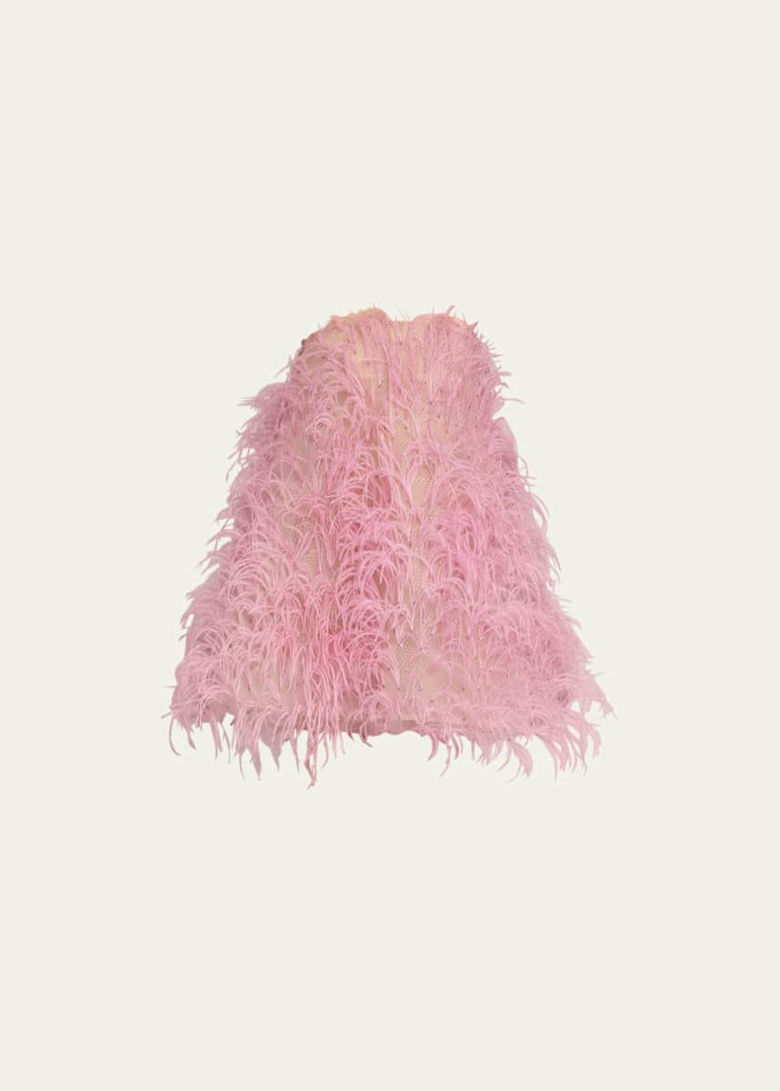 Oscar de la Renta Strapless Feather Embroidered Mini Dress