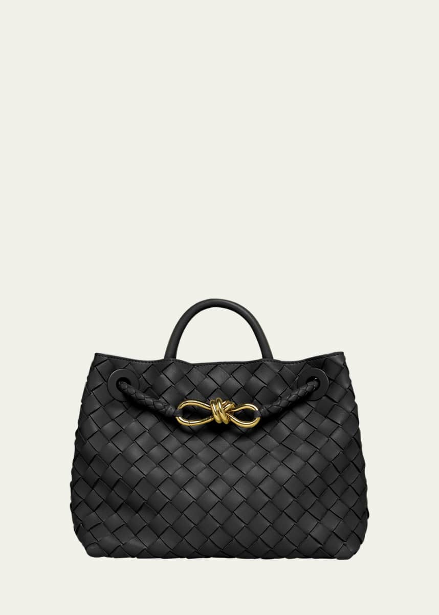 Bottega Veneta Small Andiamo Bag