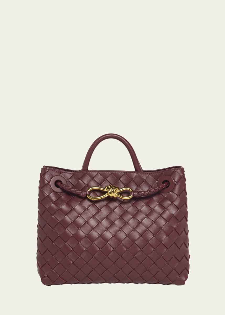 Bottega Veneta Small Andiamo Bag