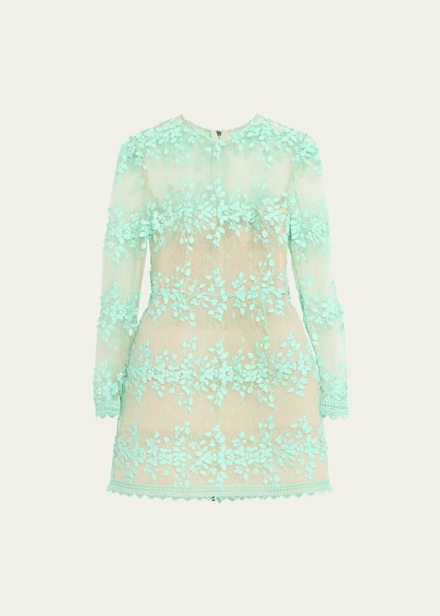 Bronx and Banco Masey Applique and Floral Lace Mini Dress