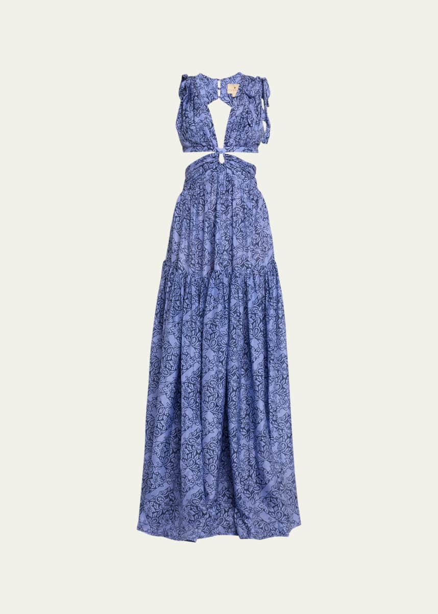Hannah Artwear Amelie Cutout Printed Silk Sleeveless Maxi Dress