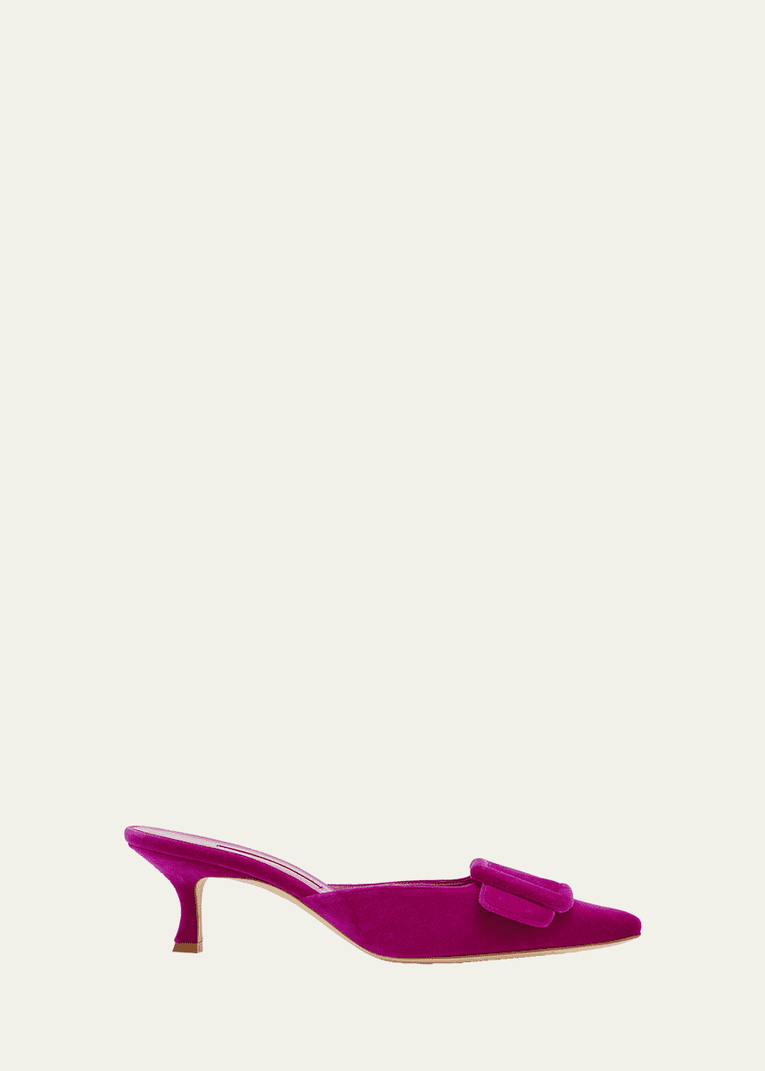 Manolo Blahnik Maysale Velvet Buckle Mule Pumps