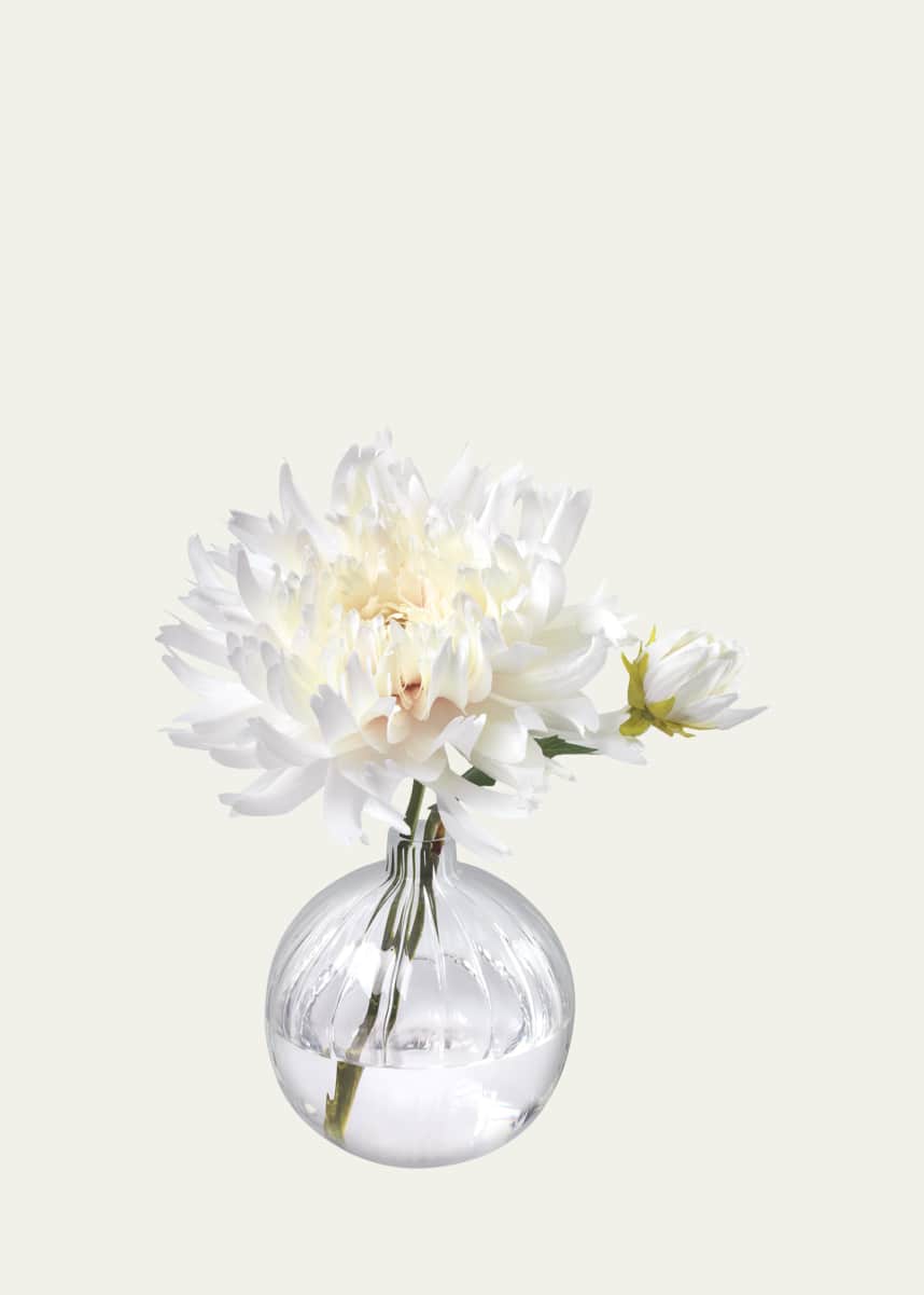 Diane James at Bergdorf Goodman