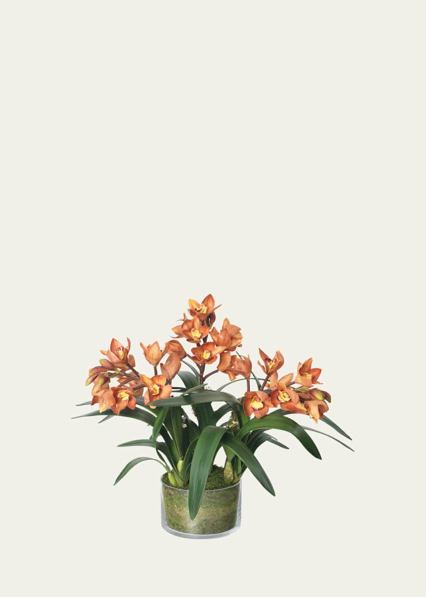 Diane James at Bergdorf Goodman