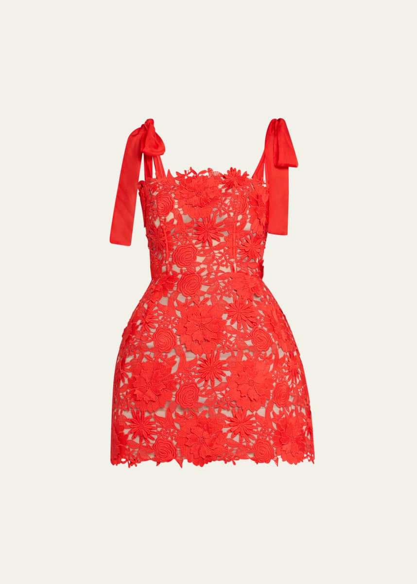 Bronx and Banco Maia Square-Neck Floral Lace Mini Dress