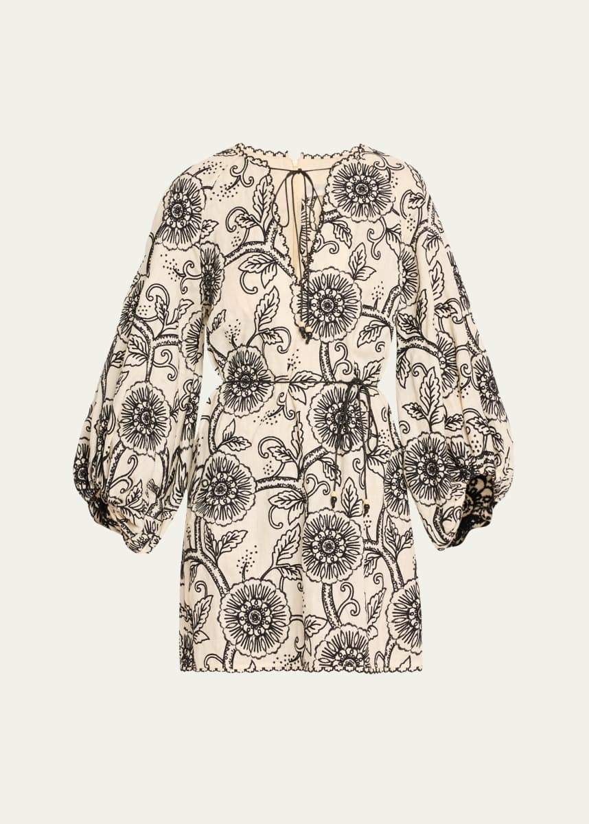 Zimmermann Tallow Embroidered Mini Dress