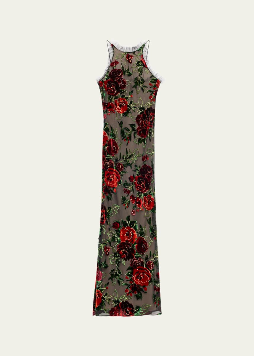 Rodarte Floral Velvet Devore Tulle Gown