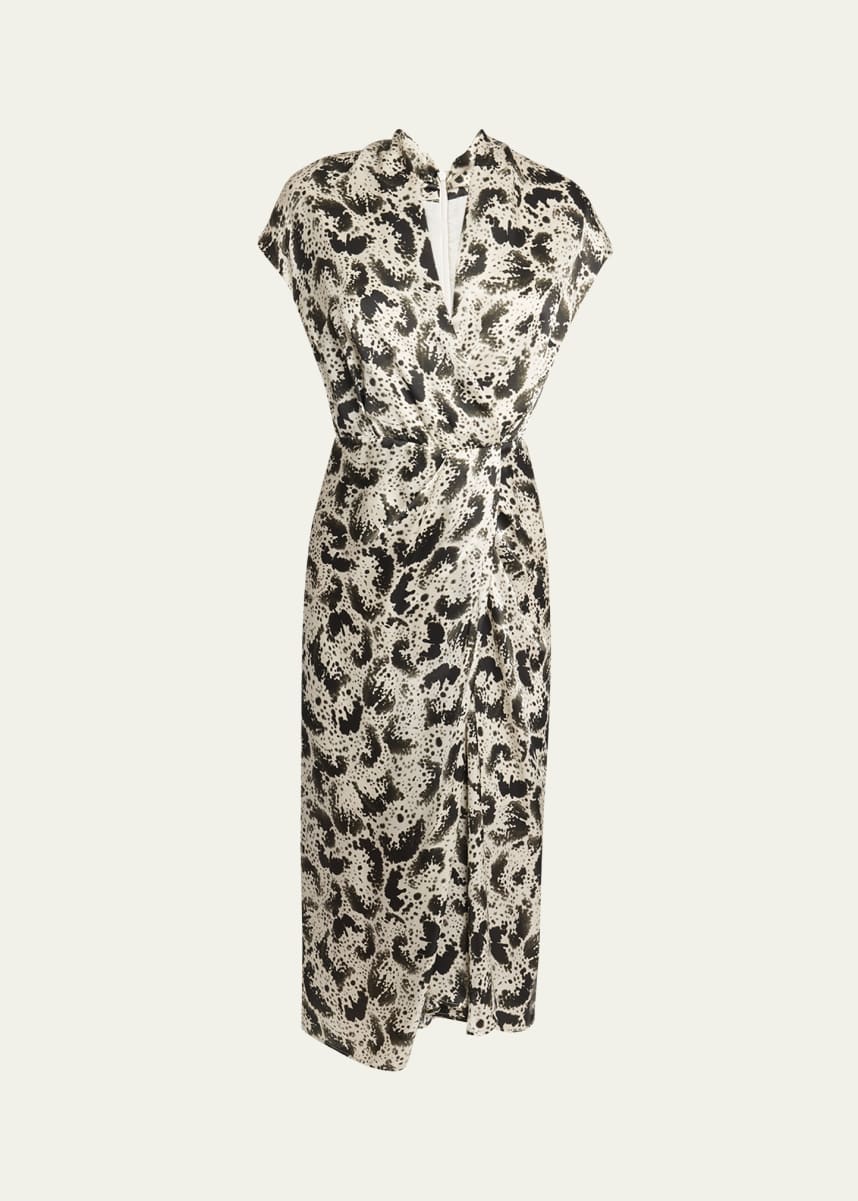 Dries Van Noten Dilian Printed Midi Dress