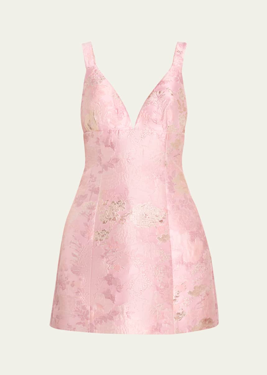 Cara Cara Napels Jacquard V-Neck Mini Dress