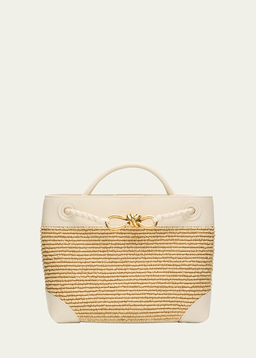 Bottega Veneta Small Andiamo Tote Bag