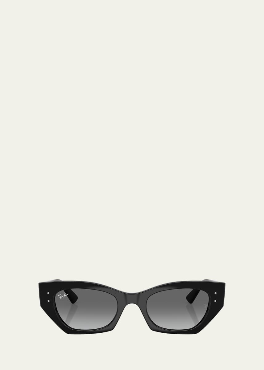 Ray-Ban Zena Plastic Cat-Eye Sunglasses