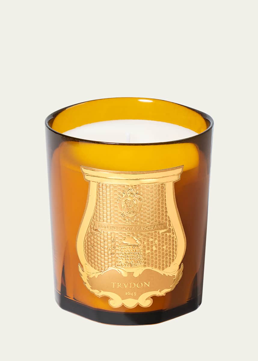 Trudon Altair Scented Candle, 9.5 oz.