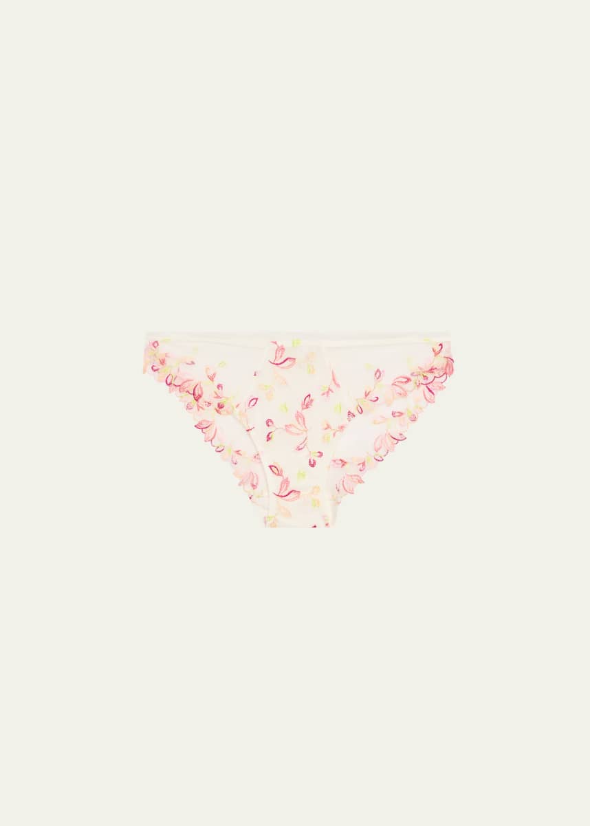 Lise Charmel Folie D'Ete Floral-Embroidered Italian Briefs