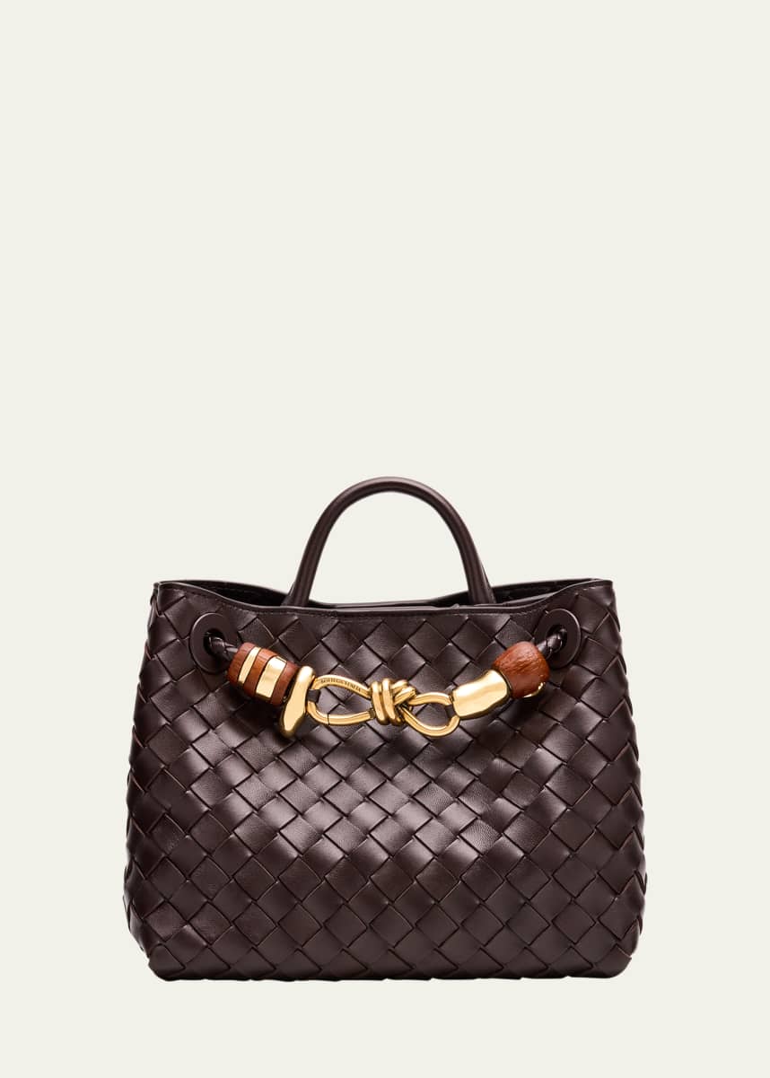 Bottega Veneta Andiamo Small Leather Top-handle Bag