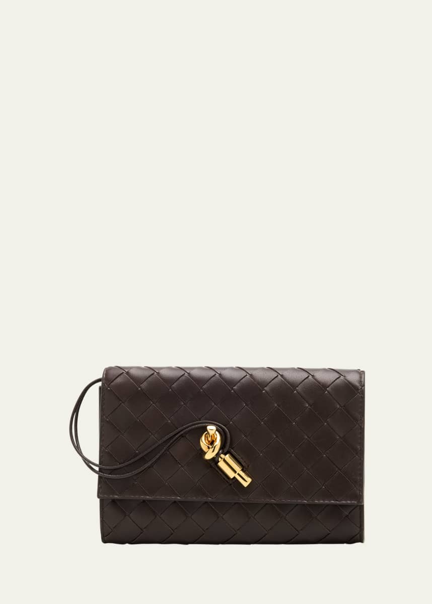Bottega Veneta Andiamo Metallic Leather Pouch Bag
