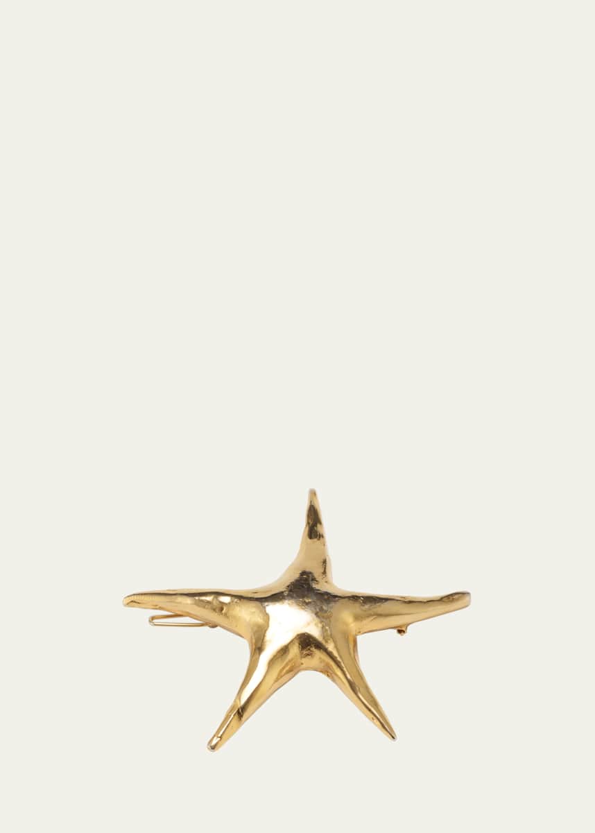 Lelet Ny Nala Star Barrette