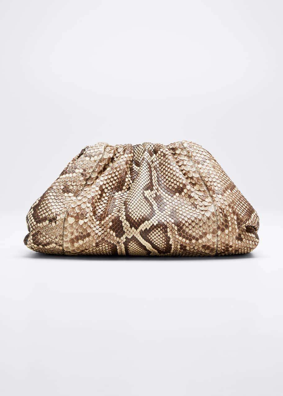 Image 1 of 1: The Pouch Clutch Bag in Python
