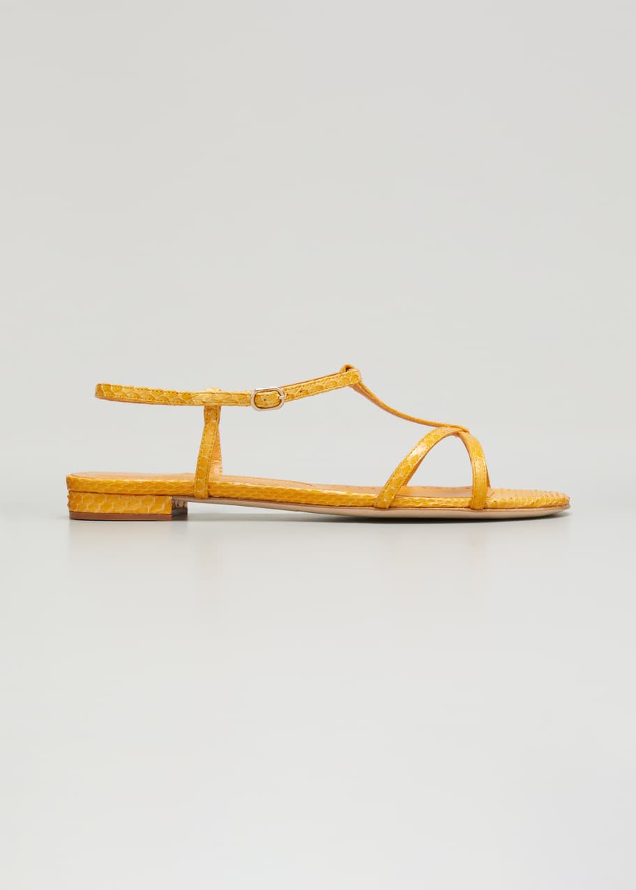 Manolo Blahnik Raqui TStrap Flat Python Sandals Bergdorf Goodman