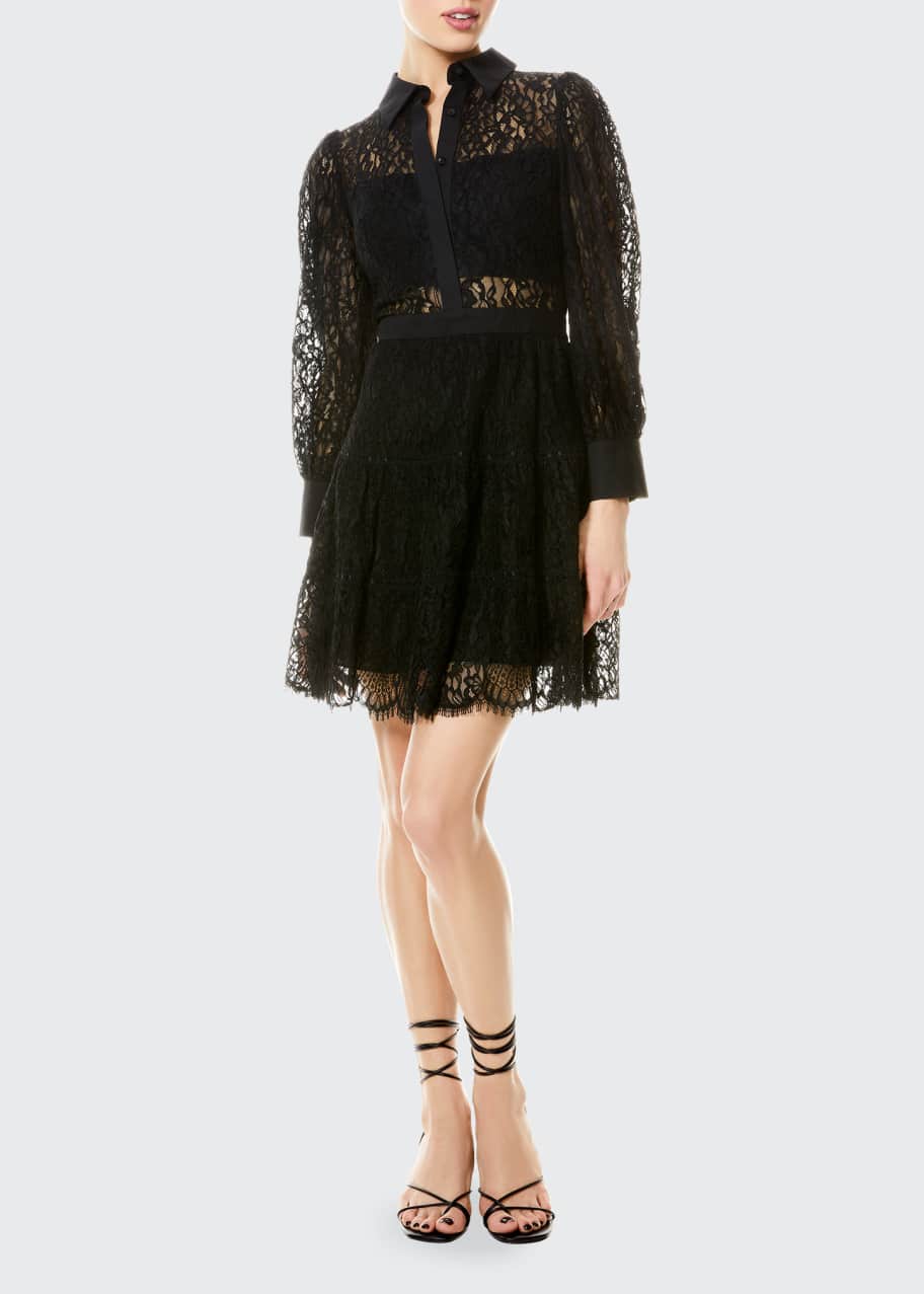 Image 1 of 1: Anaya Collared Lace Tiered Short Dress