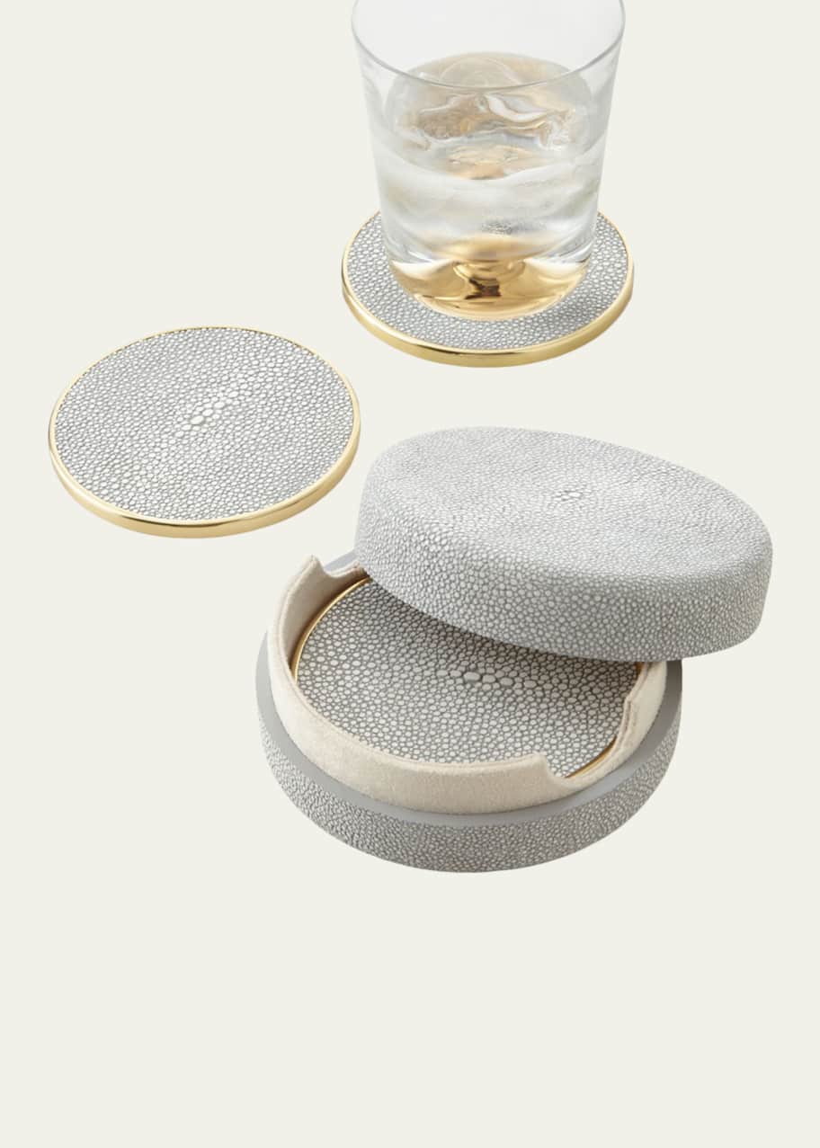 Image 1 of 1: Dove Faux-Shagreen Coasters