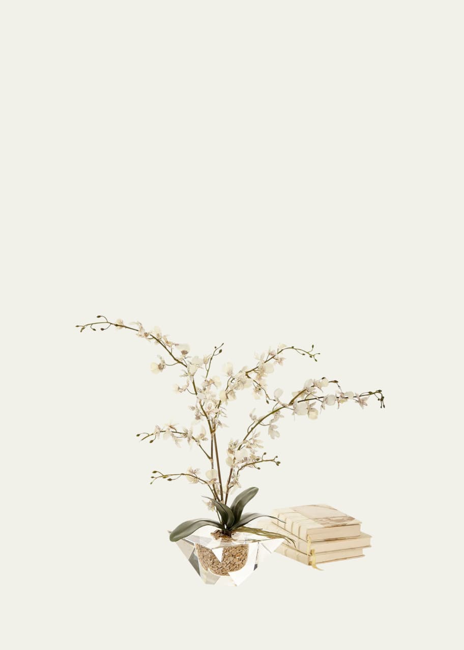 Image 1 of 1: Marquis Orchid Arrangement