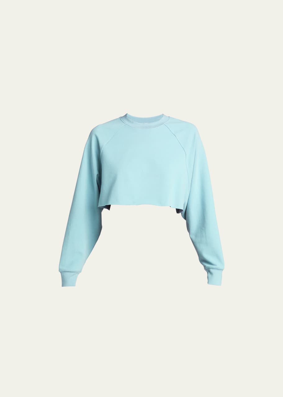 Double Take Raglan Sleeve Cropped Sweatshirt