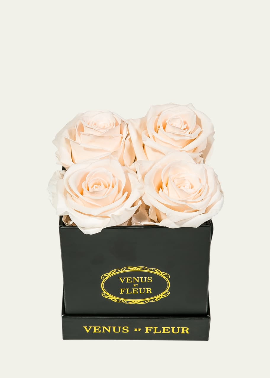 Image 1 of 1: Classic Petite Square Rose Box