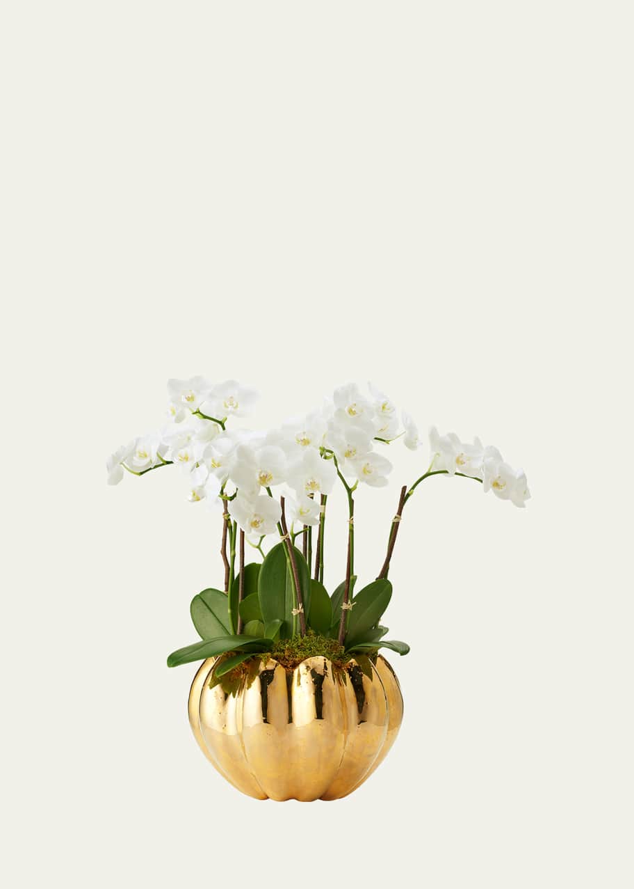 Image 1 of 1: Mirabelle Cachepot