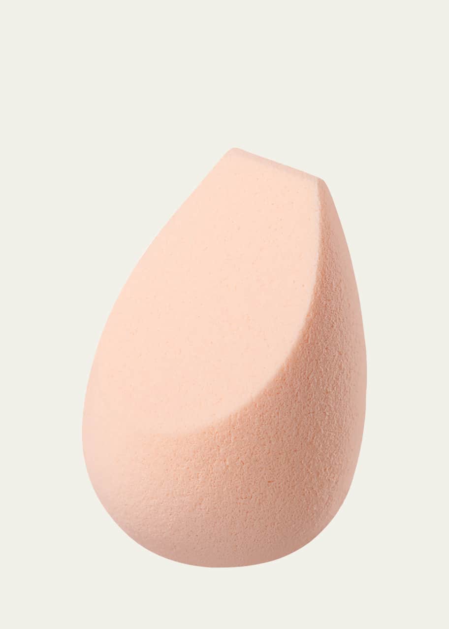 Image 1 of 1: The Sponge