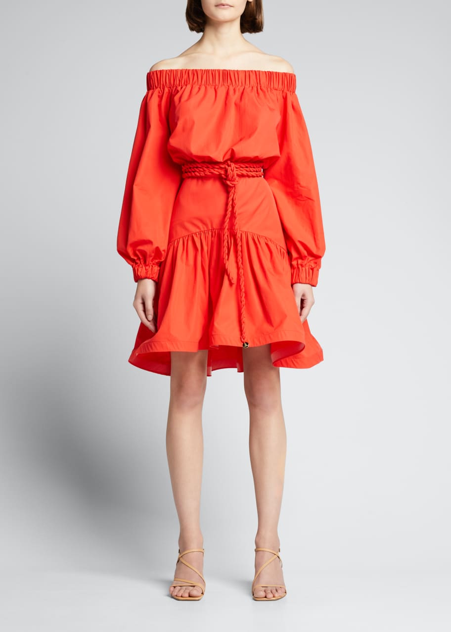 silvia tcherassi balerina embroidered mini dress Silvia Tcherassi