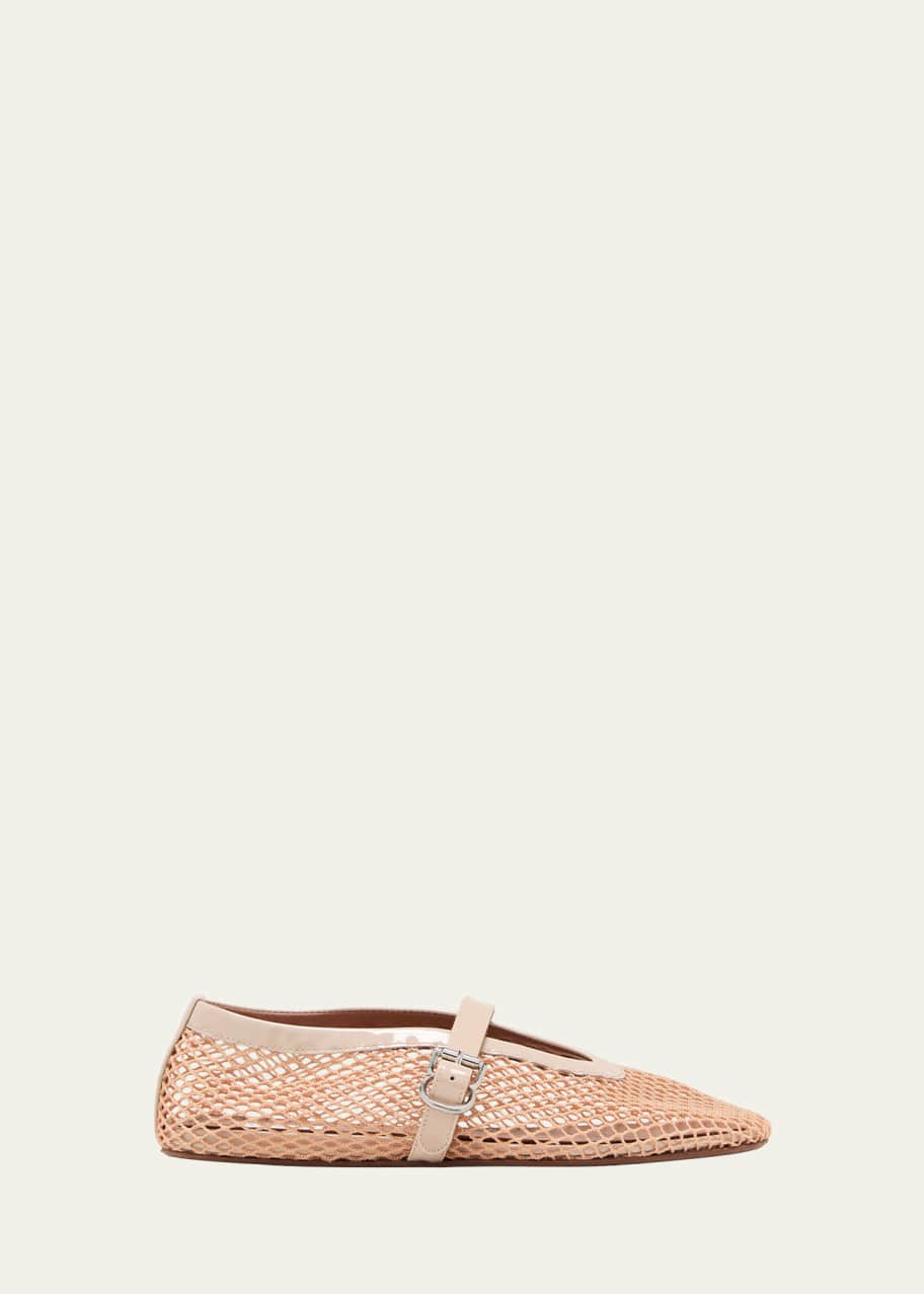 Image 1 of 1: Mesh Mary Jane Ballerina Flats
