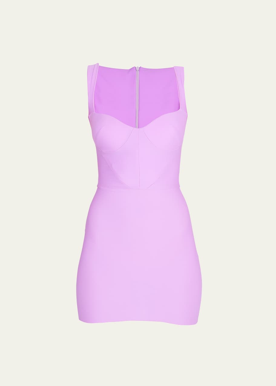 Alex Perry Halsey Bustier Mini Dress - Bergdorf Goodman