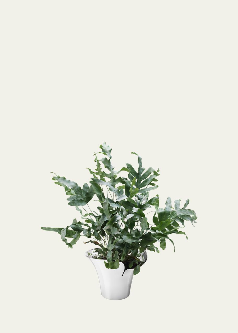Georg Jensen Bloom Botanica Medium Stainless Steel Flower Pot ...